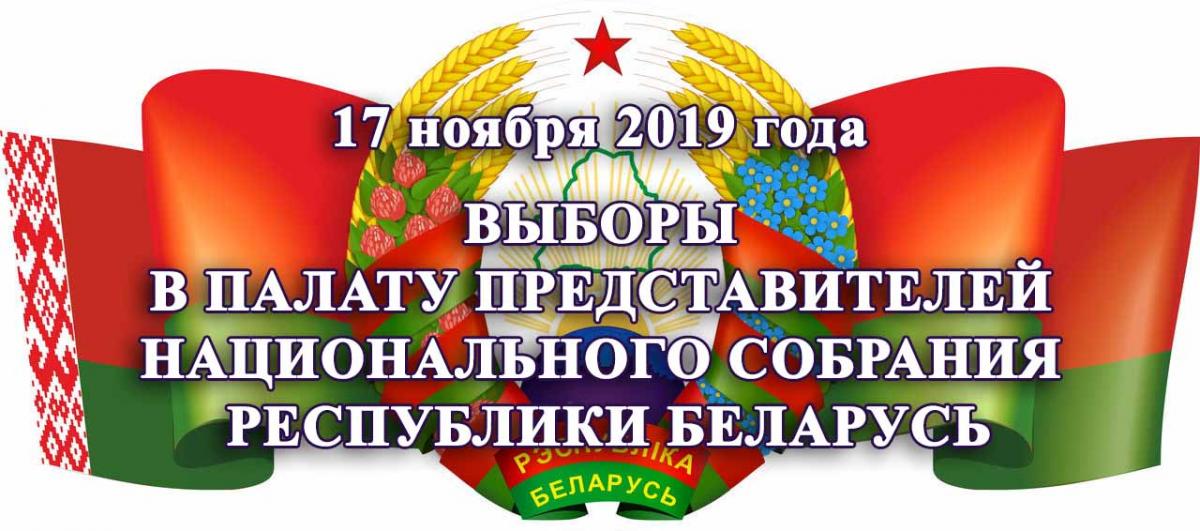 Картинки по запросу выборы 2019 беларусь
